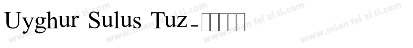 Uyghur Sulus Tuz字体转换